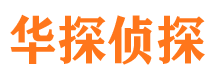 樊城市侦探公司